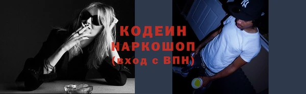 крисы Дедовск