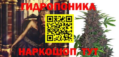каннабис Аргун
