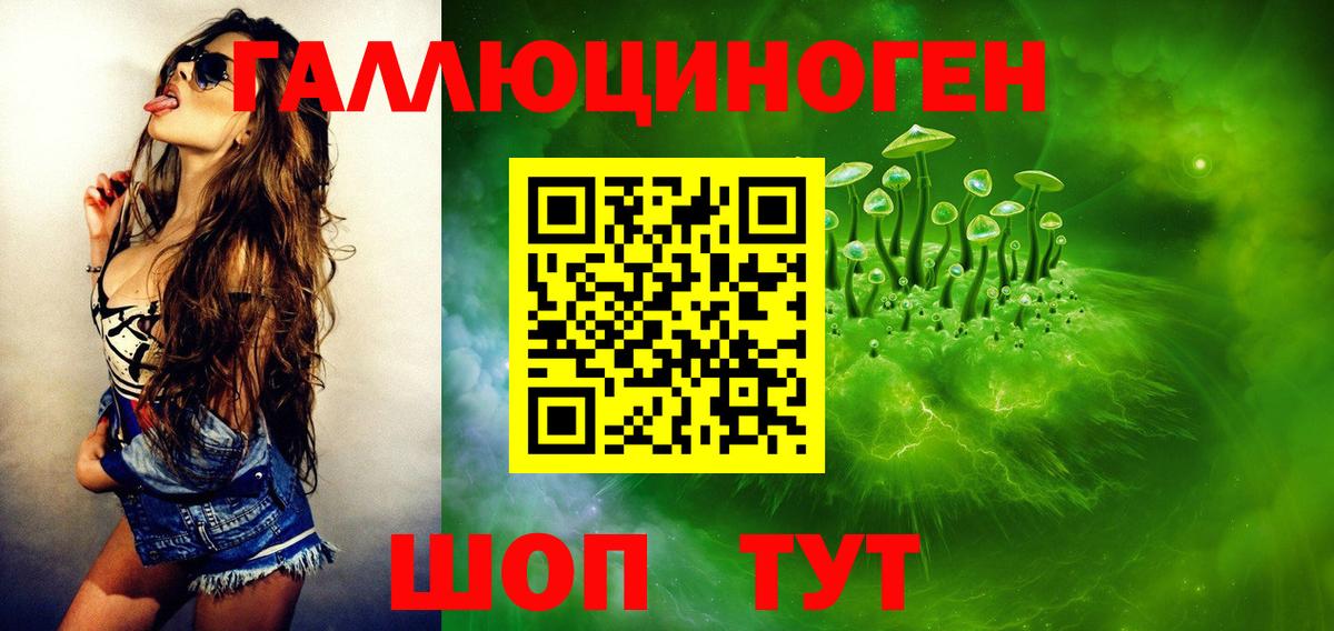 Баксан  Псилоцибиновые грибы мицелий  Вход с VPN 