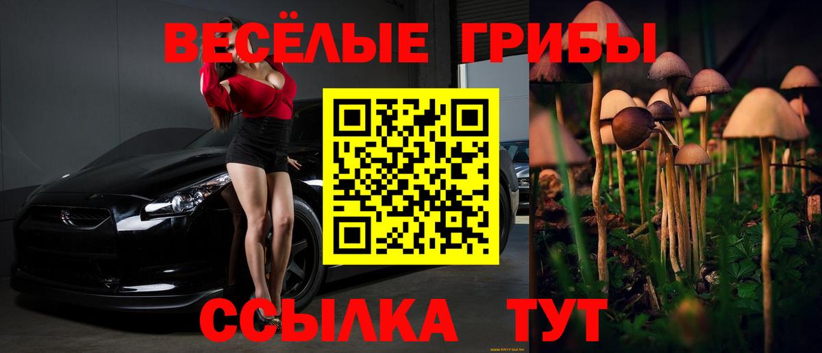 Псилоцибиновые грибы GOLDEN TEACHER  Псилоцибиновые грибы прущие грибы  Баксан 